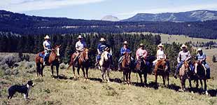 Cattle country casino harlowton mt shasta